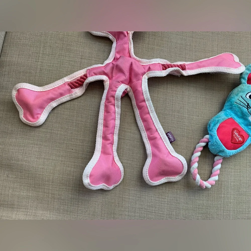 Robe & Squeaky pig dog toy bundle